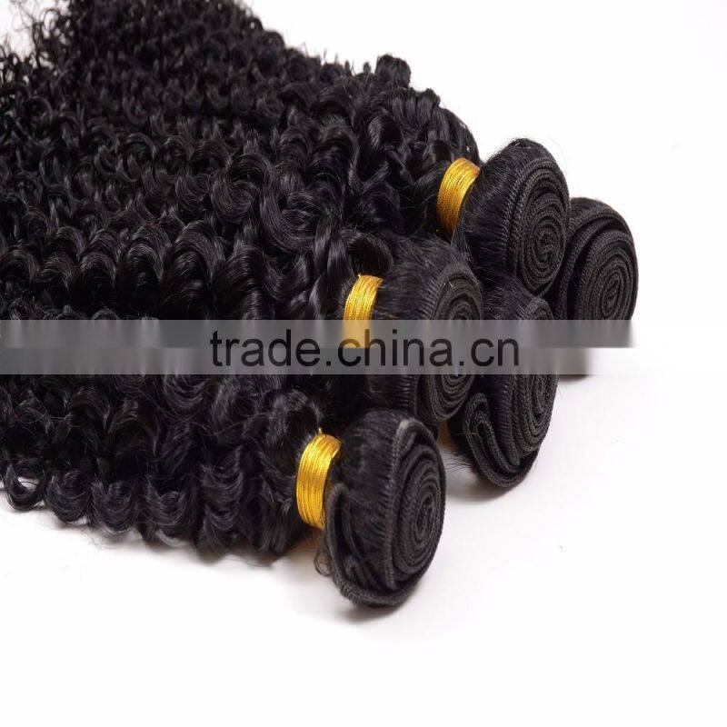 Free sample hair bundles,2016 Hottest Virgin Mongolian kinky curly hair