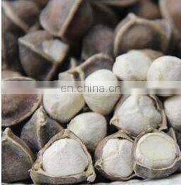 Factory price good quality moringa seed shelling machine