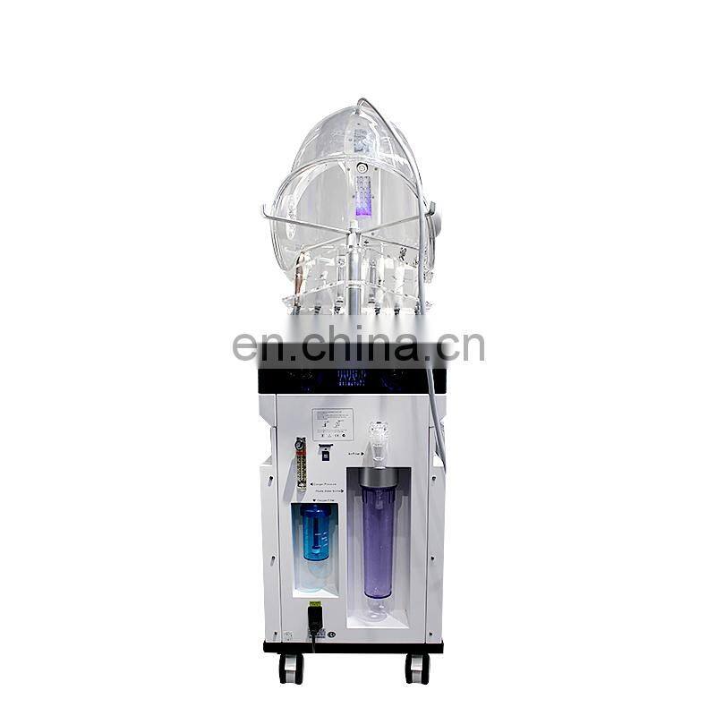 High quality Multifunctional 10 In 1 facial skin care Oxygen Jet Peel  Aqua facial cleansing skin rejuvenation Facial Machine