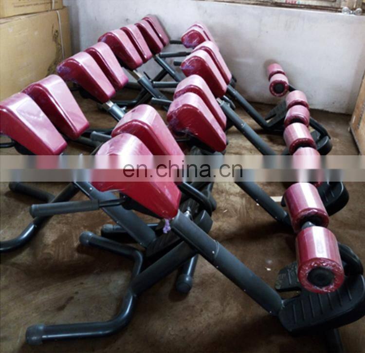 Good Price High Quality Commercial Fitness Gym Equipment Back Exercise Roman Chair for Sale TT16