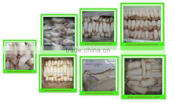 High Quality Fresh King Oyster