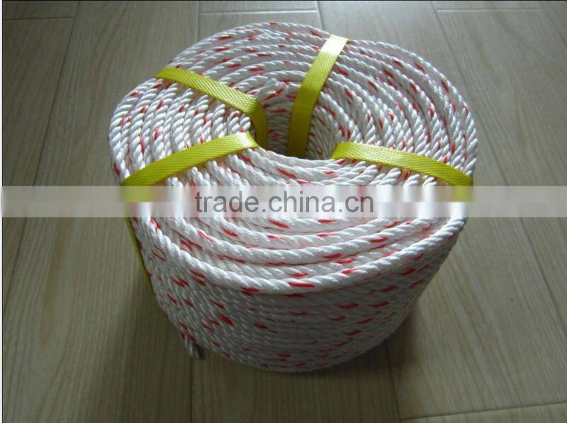 PP Danline Rope