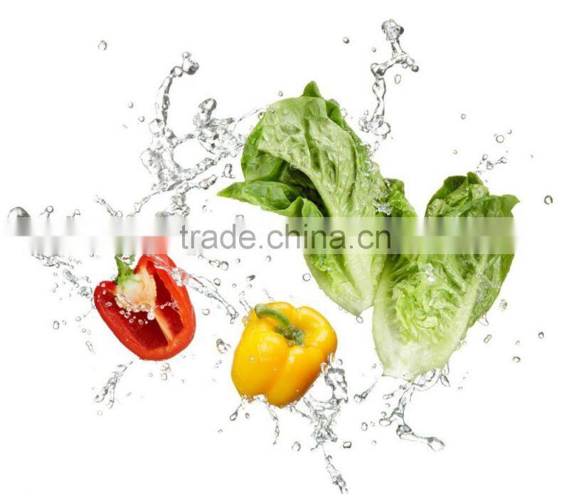 ISO reefer container pricethermo king reefer container for storage in china