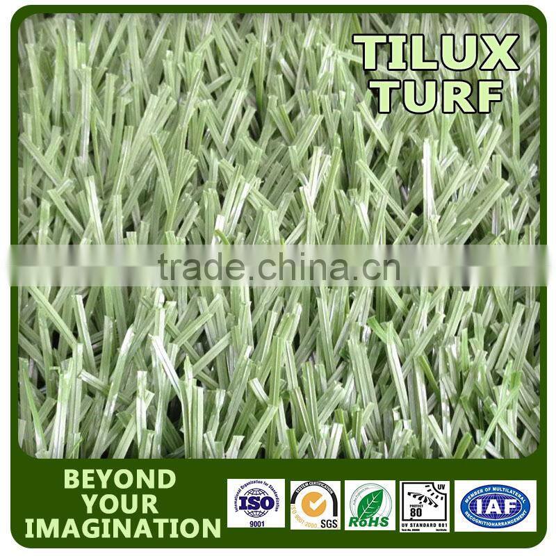 America Football Grass