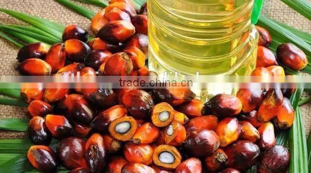 Long time working fruit palm threshing machine/fresh palm process machine/palm thresher