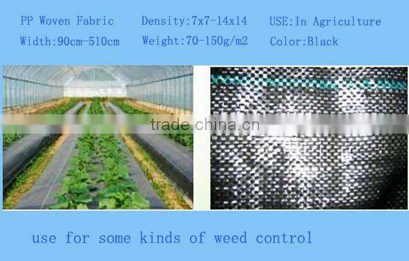 PP Weed Mat,plastic ground mat