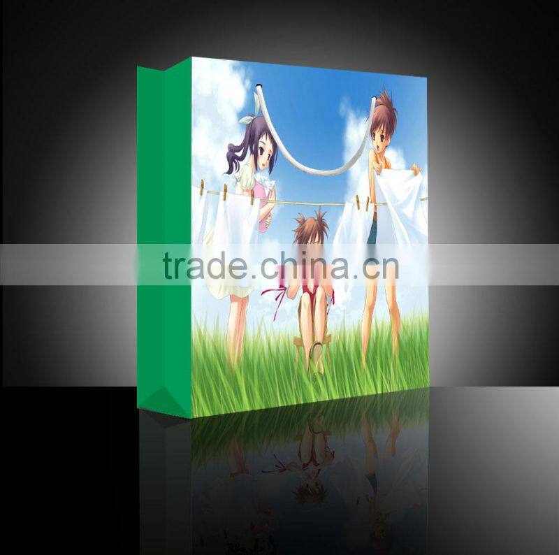 Foldable Cheap Paper Shopping Bag,Reusable Bag Shopping