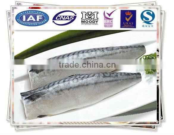 Scomber Scombrus Fillet