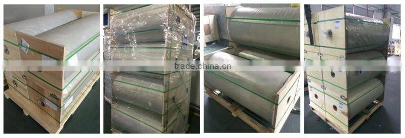 CPP Metallized Film For Packaging