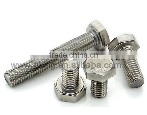 Staniless steel hex bolt m60 support OEM