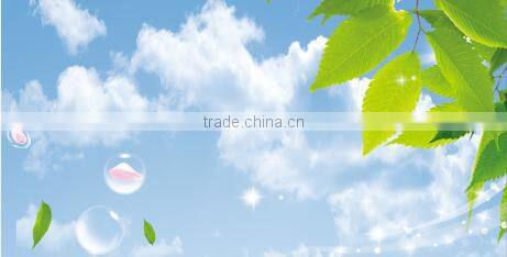 Weather resistance emulsion paint for exterior wall decoration