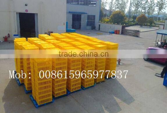 plastic poultry transport crate/chicken transport box lydia chang 0086.15965977837