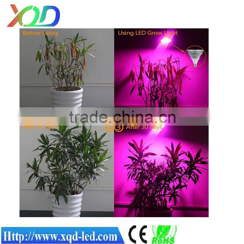 led grow light HOT SALE grow led lights 2016 with XQD