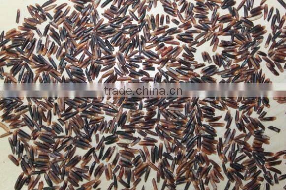 VIETNAM ORGANIC PURPLE RICE WHOLESALE BEST PRICE PREMIUM- QUALITY