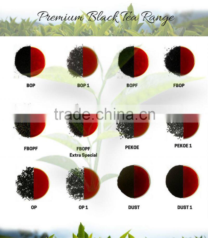 Premium Ceylon Black Tea - OP