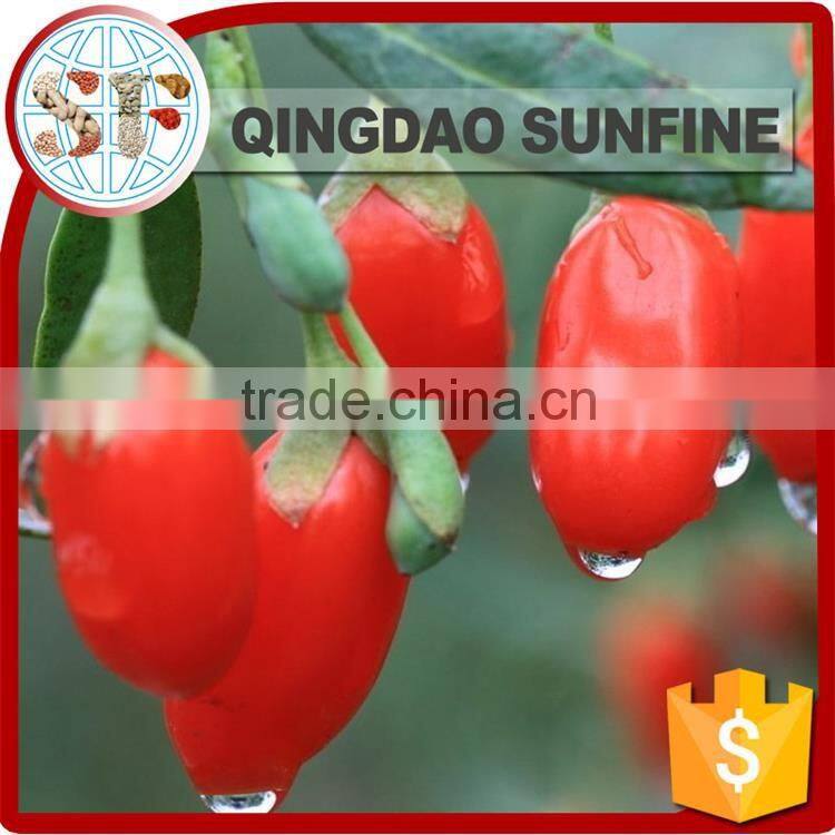 Kosher certificate snack food dried goji berries price