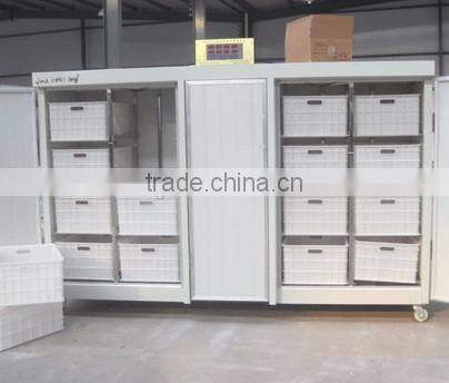 hot selling bean sprouter machine /automatic High efficiency Soybean machine
