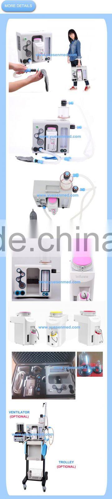 Cheap handheld animal portable anesthesia machine