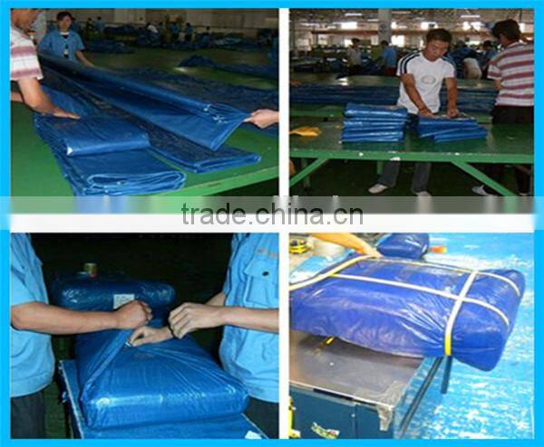 Reinforced cross laminated tarpaulin with eyelets, green house tarpaulin sheet