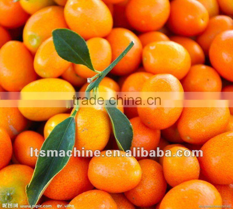 Fruit & Vegetable Washing Waxing and Grading Machine