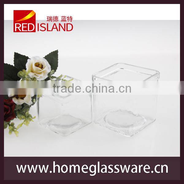 square Clear Glass Vase Flower Pot