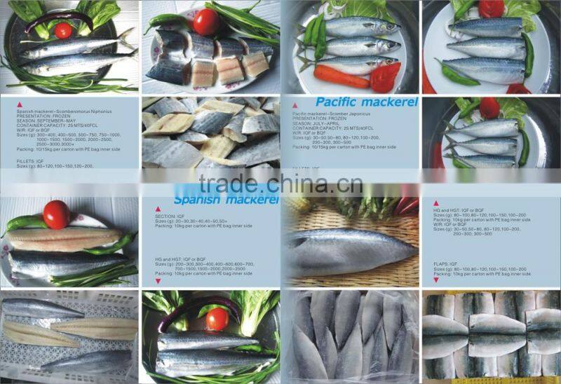 frozen spanish mackerel steaks