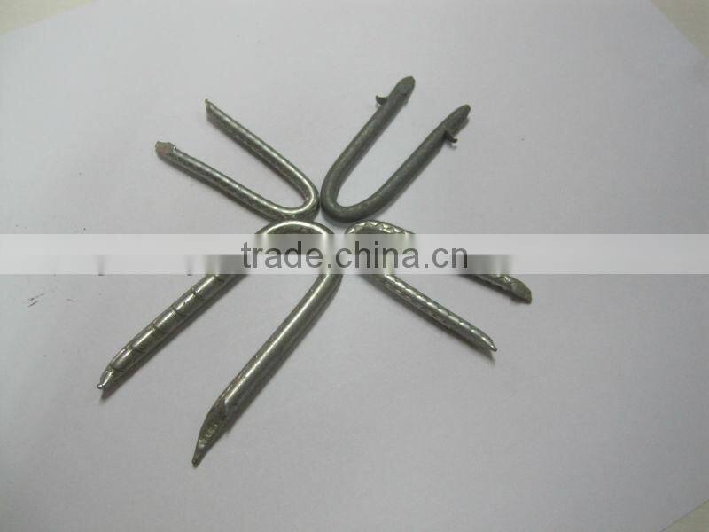 Polished galvanized fence staples u shaped nails