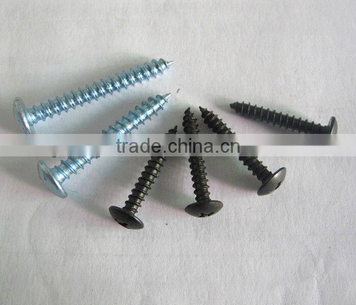 Oval Pan Head Self-tapping Screws in Guangzhou