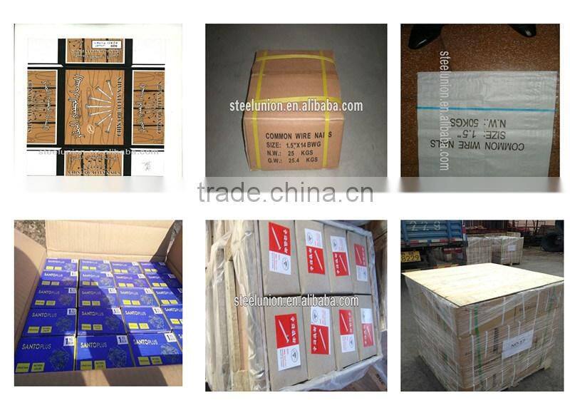 polish common wire nails