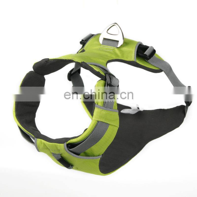 dog training bite suit