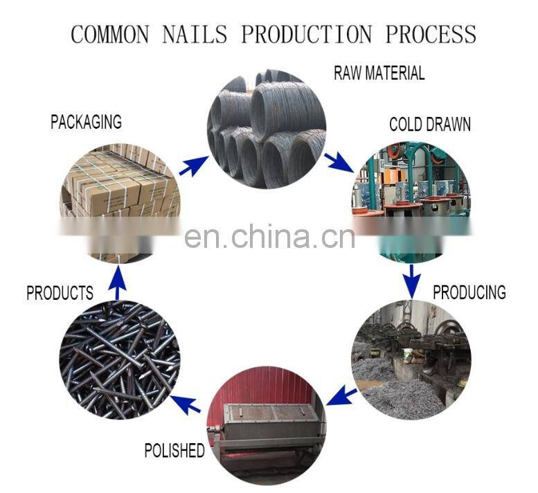 Headless Polished common nail manufacturer