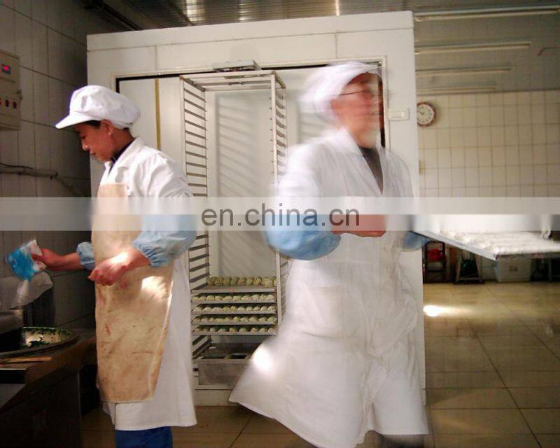 Hot sale foods small IQF batch freezer machine semi automatic quick freezing equipment good price for sale