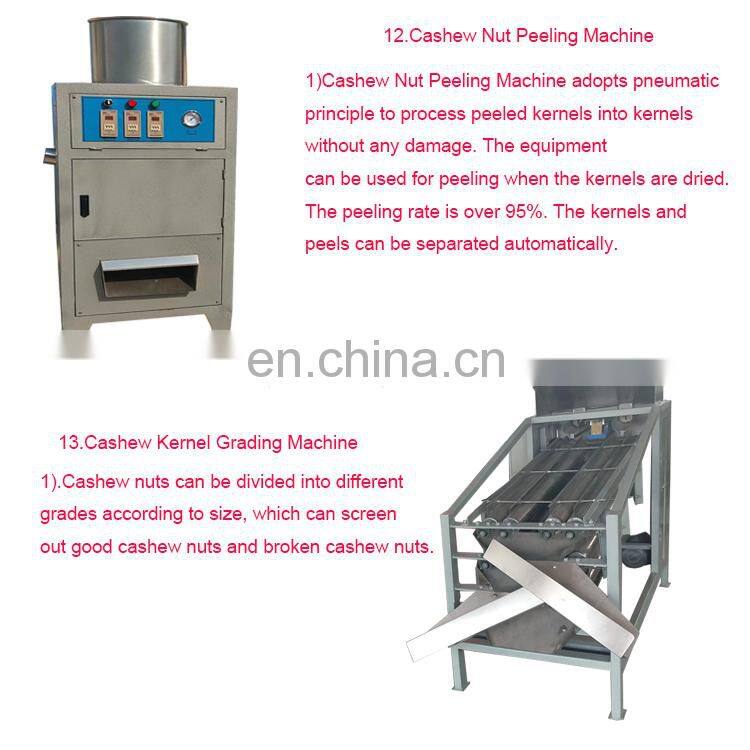 Low Price Cashew washing Cleaning machine cashew Drying Machine price