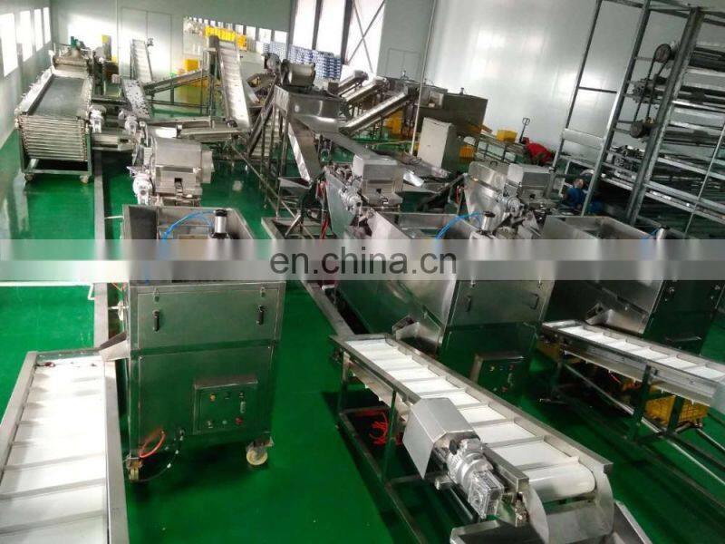 Runxiang Apple Jujube Peach Apricot Quince Oli Corer