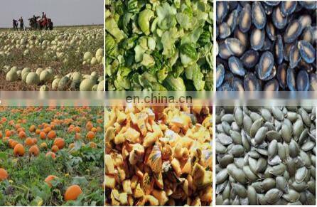 Watermelon seeds harvest machine Pumpkin seeds harvest machine Seeds extractor machine