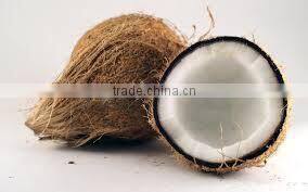 Fresh Semi Husk Cococnuts