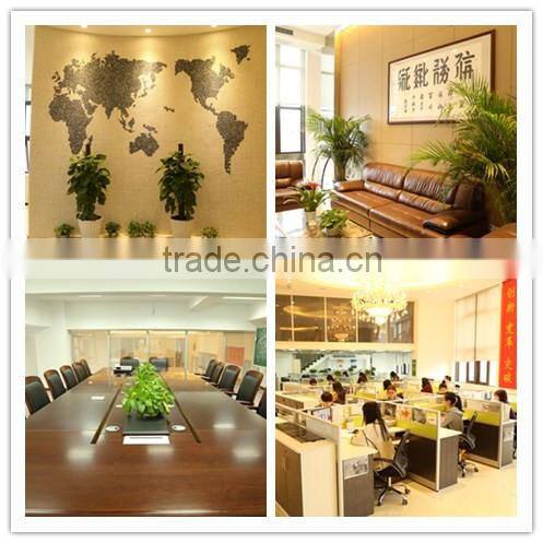 Beautiful School Bag for Children( SQ106 )