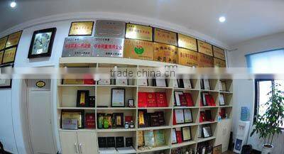 high grade quality olive oil machine from China