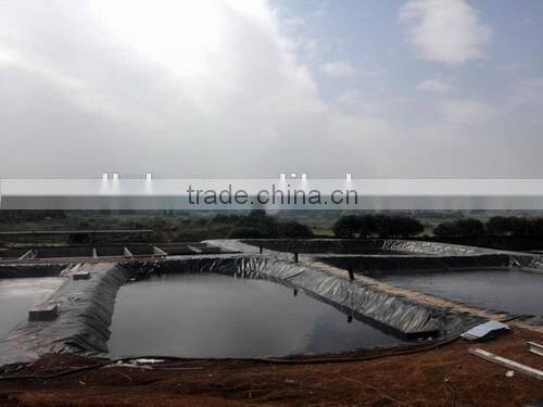 geomembrane/HDPE geomembrane price/HDPE geomembrane