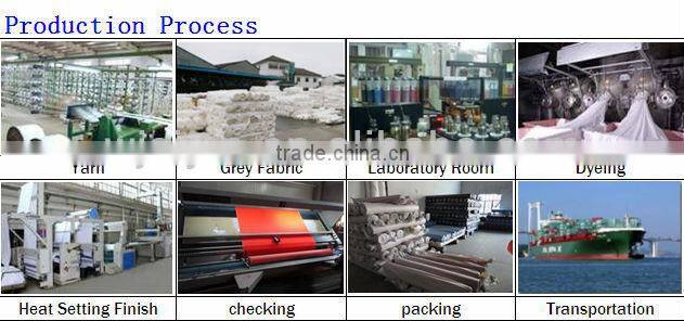 2/1 twill high density nylon down coat fabric