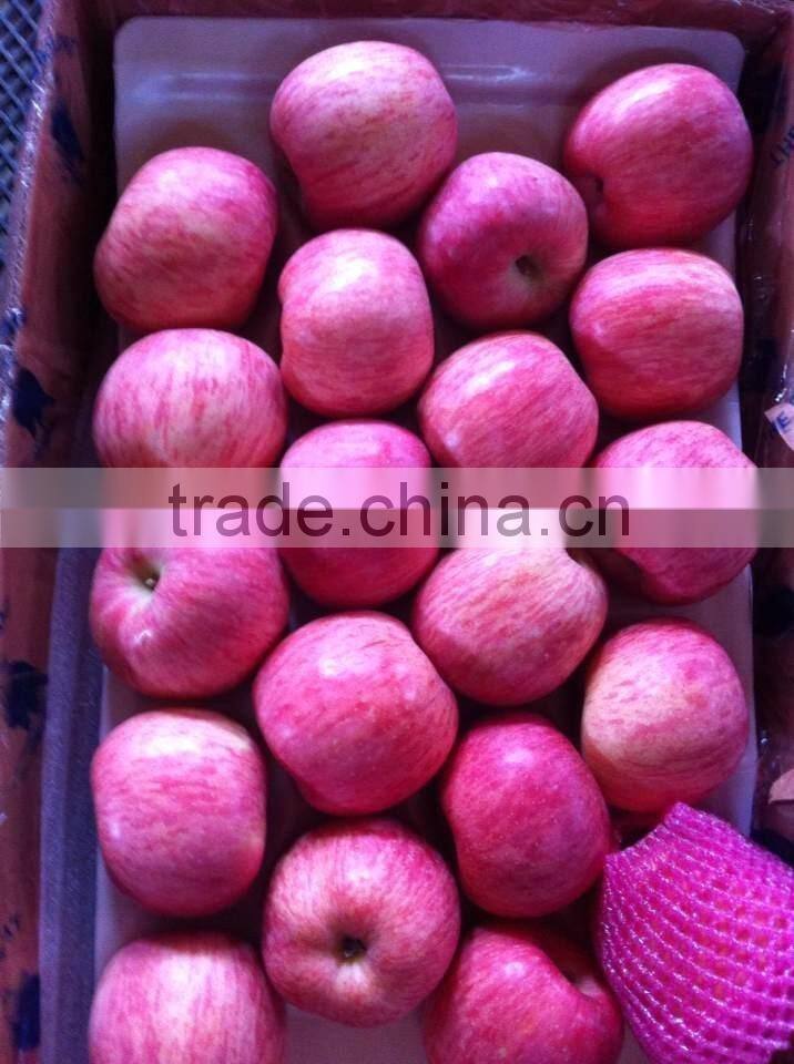 red apple red fuji apple red mature apple