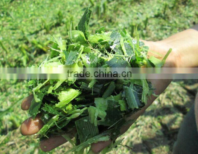 4QZ-2200 corn silage forage harvester on hot sale in 2015