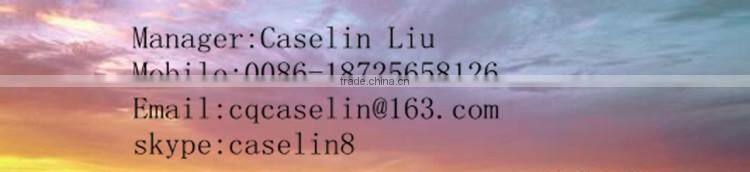 the Advanced Digital Fingerprint Door Lock With Lockless