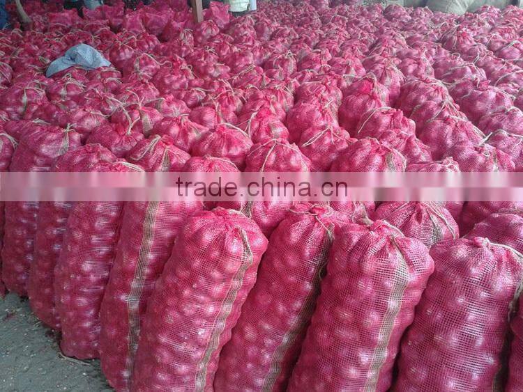 China onion at good price of per ton