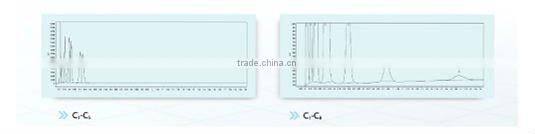 HK-A80 comprehensive mud logging gas chromatograph