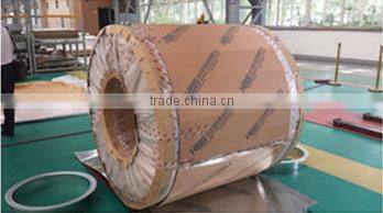 Hot Dipped Galvanized Steel/steel coil /GI/PPGI/GL 1200