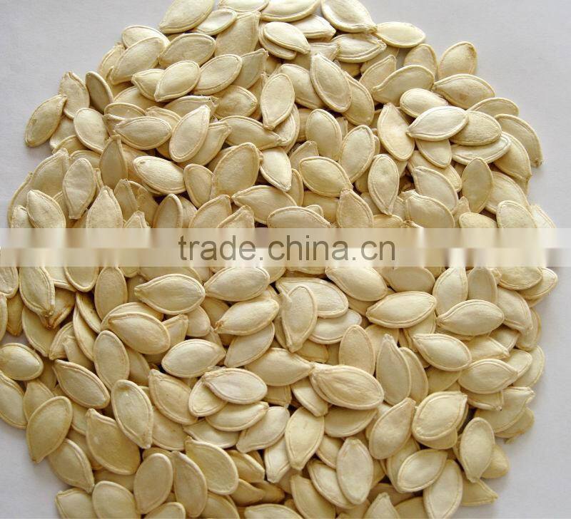 shine skin Pumpkin seeds,2015 new season
