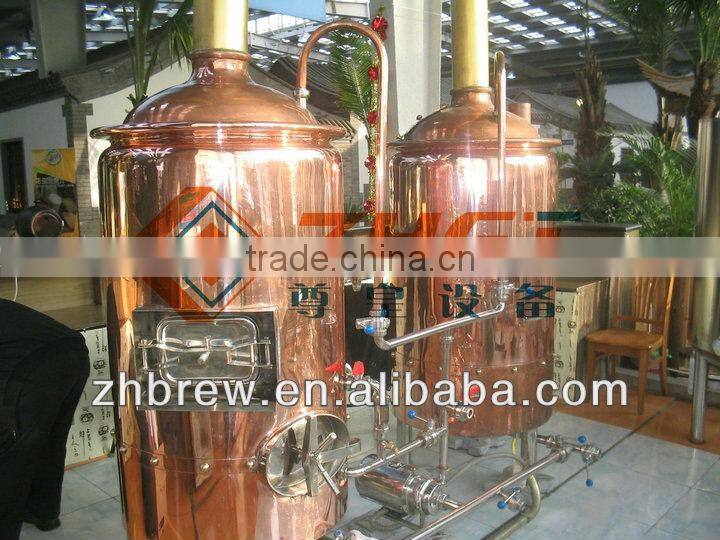 300L beautiful hotel beer equipment