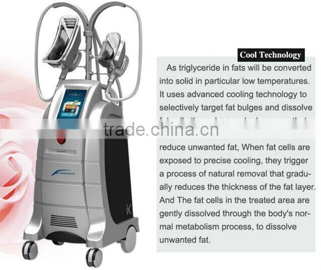 ETG50-4S alibaba express 4 handles photon fat freezing machine