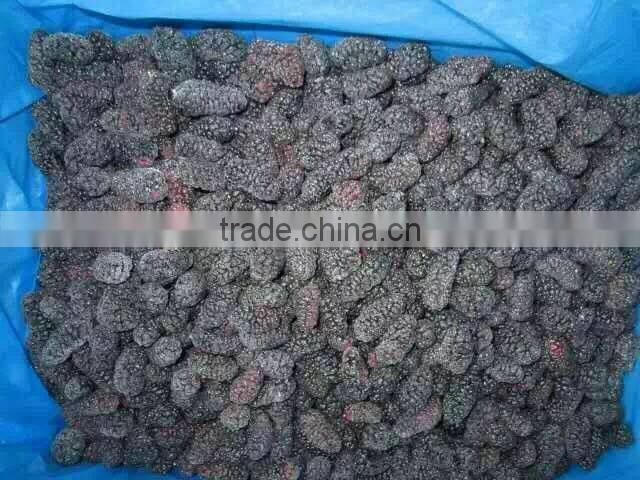 2016 Hot sale IQF mulberry
